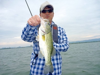 truth news ブログ写真 2013/06/10