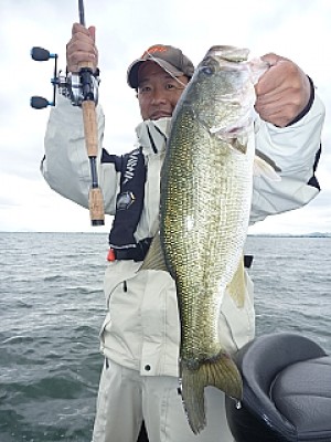 truth news ブログ写真 2013/06/11