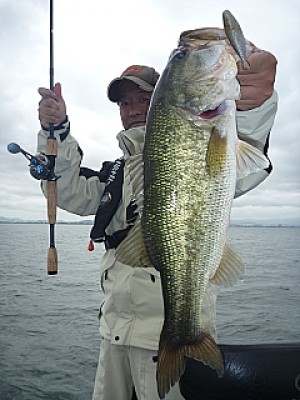 truth news ブログ写真 2013/06/11