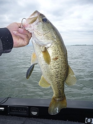 truth news ブログ写真 2013/06/11