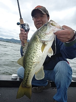 truth news ブログ写真 2013/06/11