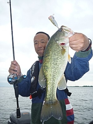 truth news ブログ写真 2013/06/11