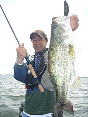 truth news ブログ写真 2013/06/11