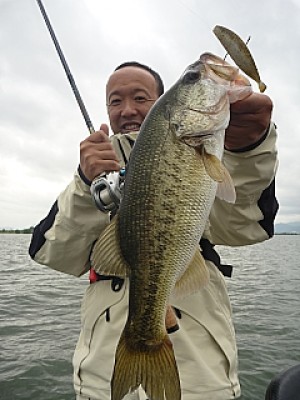 truth news ブログ写真 2013/06/11