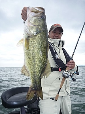 truth news ブログ写真 2013/06/11