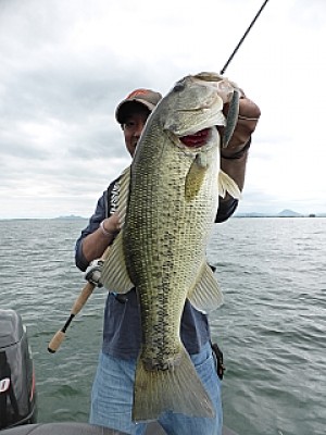 truth news ブログ写真 2013/06/13