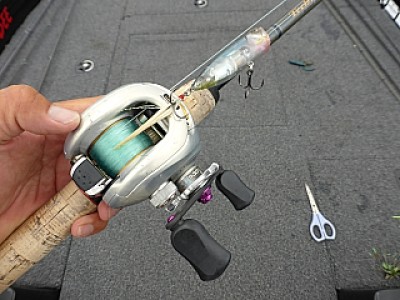 truth news ブログ写真 2013/06/13