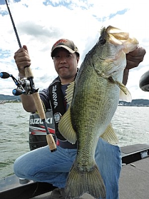 truth news ブログ写真 2013/06/13