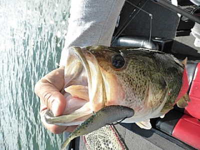 truth news ブログ写真 2013/06/13