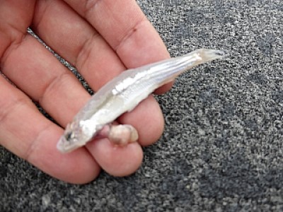 truth news ブログ写真 2013/06/13