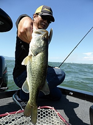 truth news ブログ写真 2013/06/13