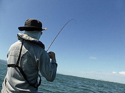 truth news ブログ写真 2013/06/13