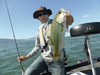 truth news ブログ写真 2013/06/13