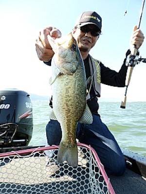 truth news ブログ写真 2013/06/13