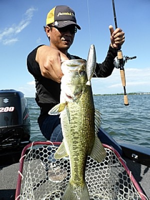 truth news ブログ写真 2013/06/13