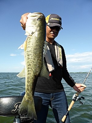 truth news ブログ写真 2013/06/13