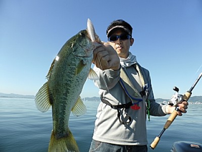 truth news ブログ写真 2013/06/13