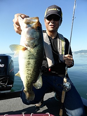 truth news ブログ写真 2013/06/13