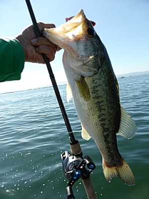 truth news ブログ写真 2013/06/13