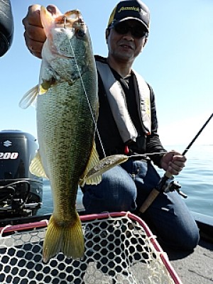 truth news ブログ写真 2013/06/13