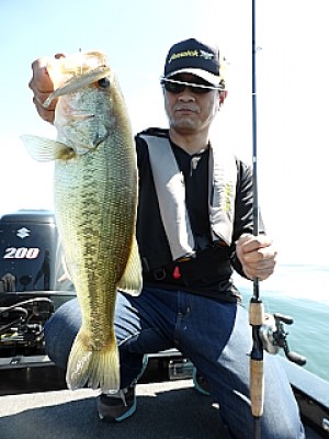 truth news ブログ写真 2013/06/13