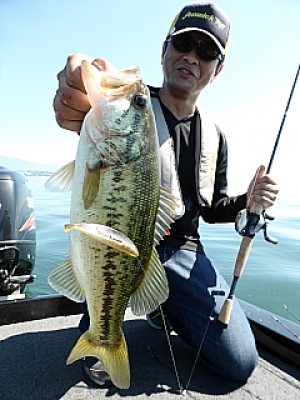 truth news ブログ写真 2013/06/13