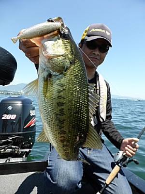 truth news ブログ写真 2013/06/13