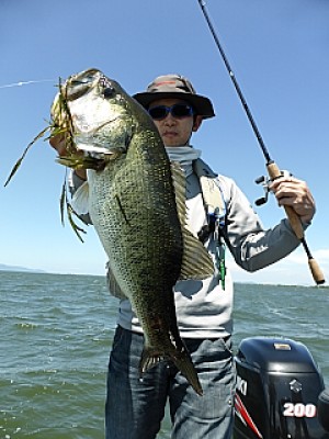 truth news ブログ写真 2013/06/13