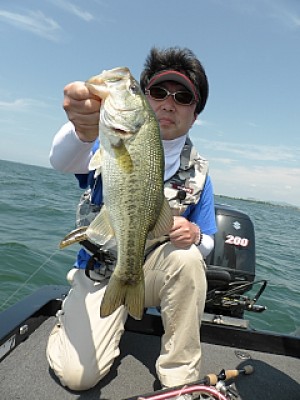 truth news ブログ写真 2013/06/14