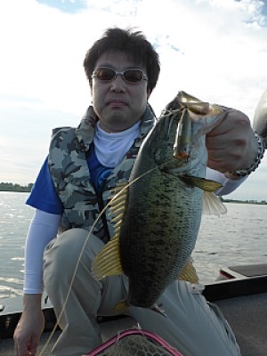 truth news ブログ写真 2013/06/14