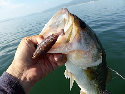 truth news ブログ写真 2013/06/14