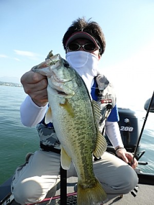 truth news ブログ写真 2013/06/14