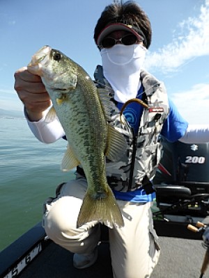 truth news ブログ写真 2013/06/14