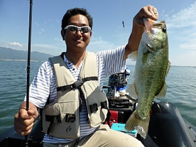 truth news ブログ写真 2013/06/14