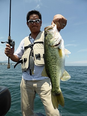 truth news ブログ写真 2013/06/14