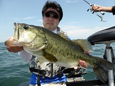 truth news ブログ写真 2013/06/14