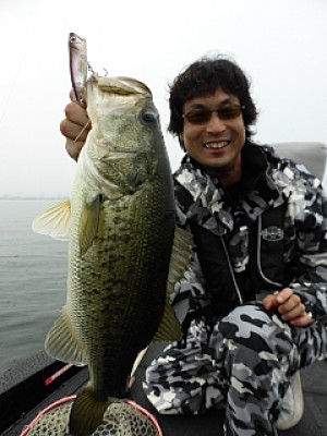 truth news ブログ写真 2013/06/15