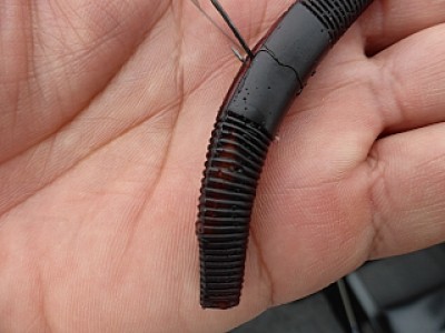 truth news ブログ写真 2013/06/15