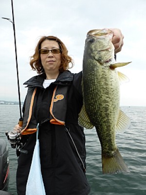 truth news ブログ写真 2013/06/15