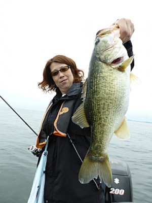 truth news ブログ写真 2013/06/15