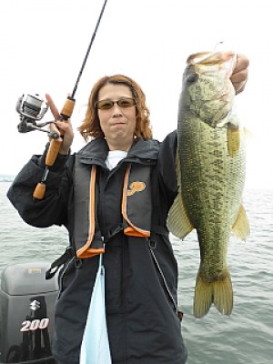 truth news ブログ写真 2013/06/15