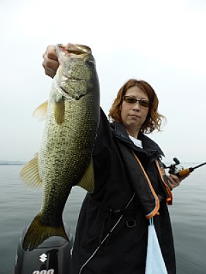 truth news ブログ写真 2013/06/15