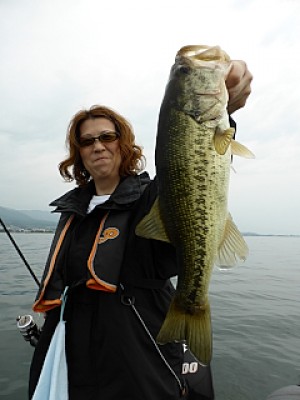 truth news ブログ写真 2013/06/15