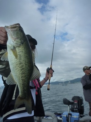 truth news ブログ写真 2013/06/16