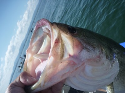 truth news ブログ写真 2013/06/16