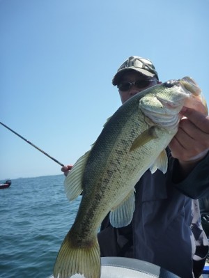 truth news ブログ写真 2013/06/16