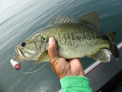 truth news ブログ写真 2013/06/18