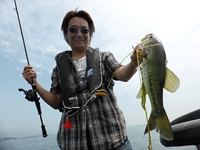 truth news ブログ写真 2013/06/18