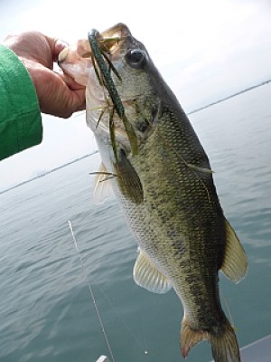 truth news ブログ写真 2013/06/18