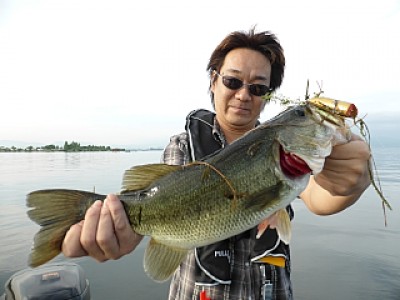 truth news ブログ写真 2013/06/18